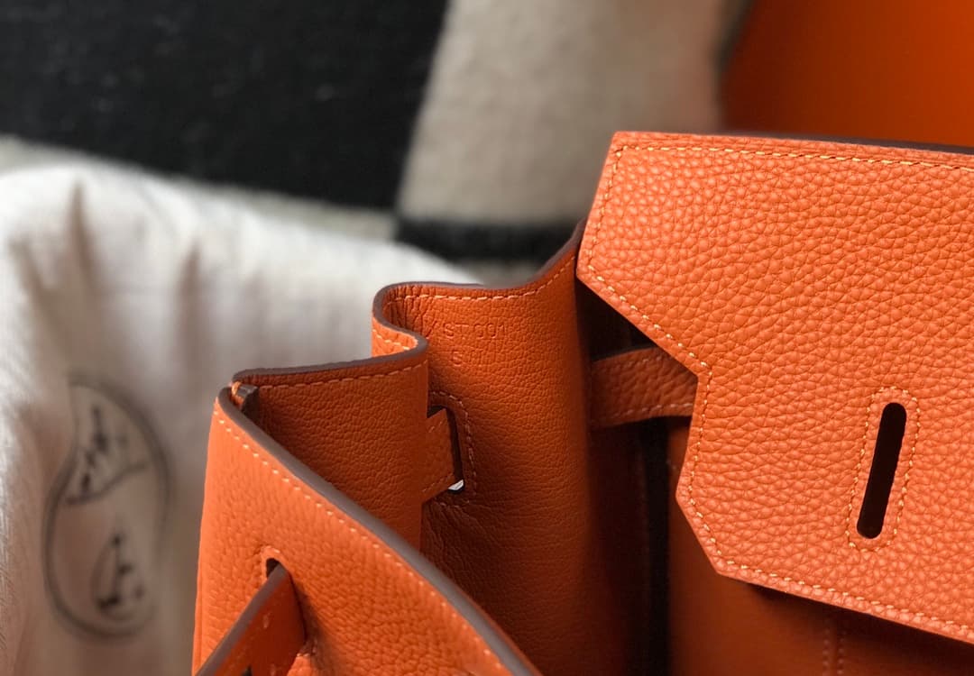 C4845 Semi-handmade Platinum 25cm Birkin, orange color, gold clasp, waxed lines, full steel hardware, Togo leather — image 8
