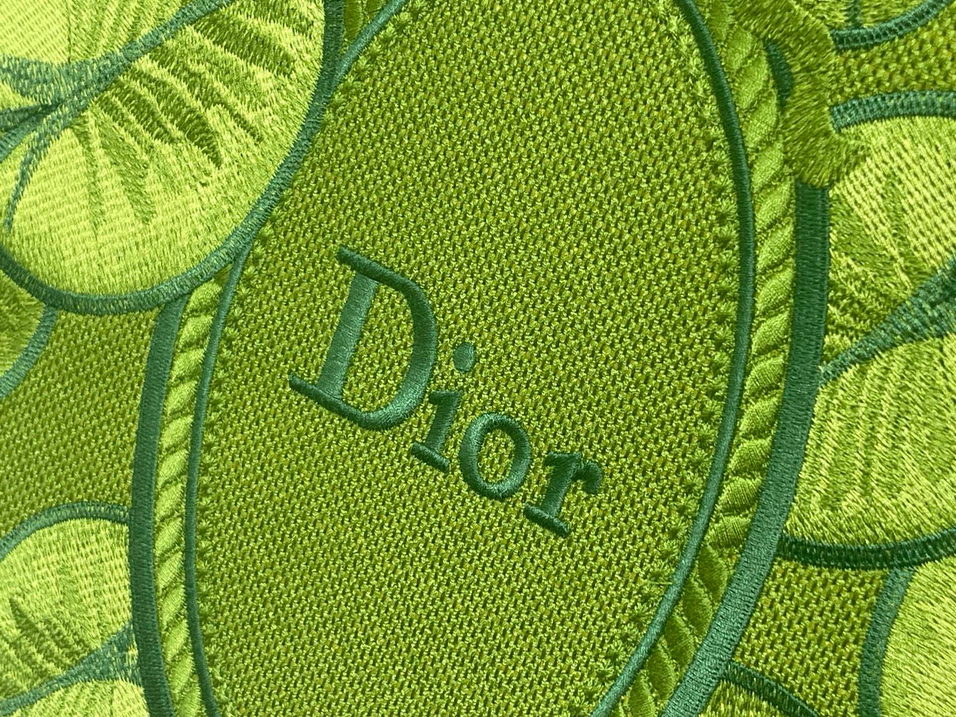 C1845 Medium size 🆕 Diou JWA’s new bag details in the first season! A classic bag with a modern feel — image 6