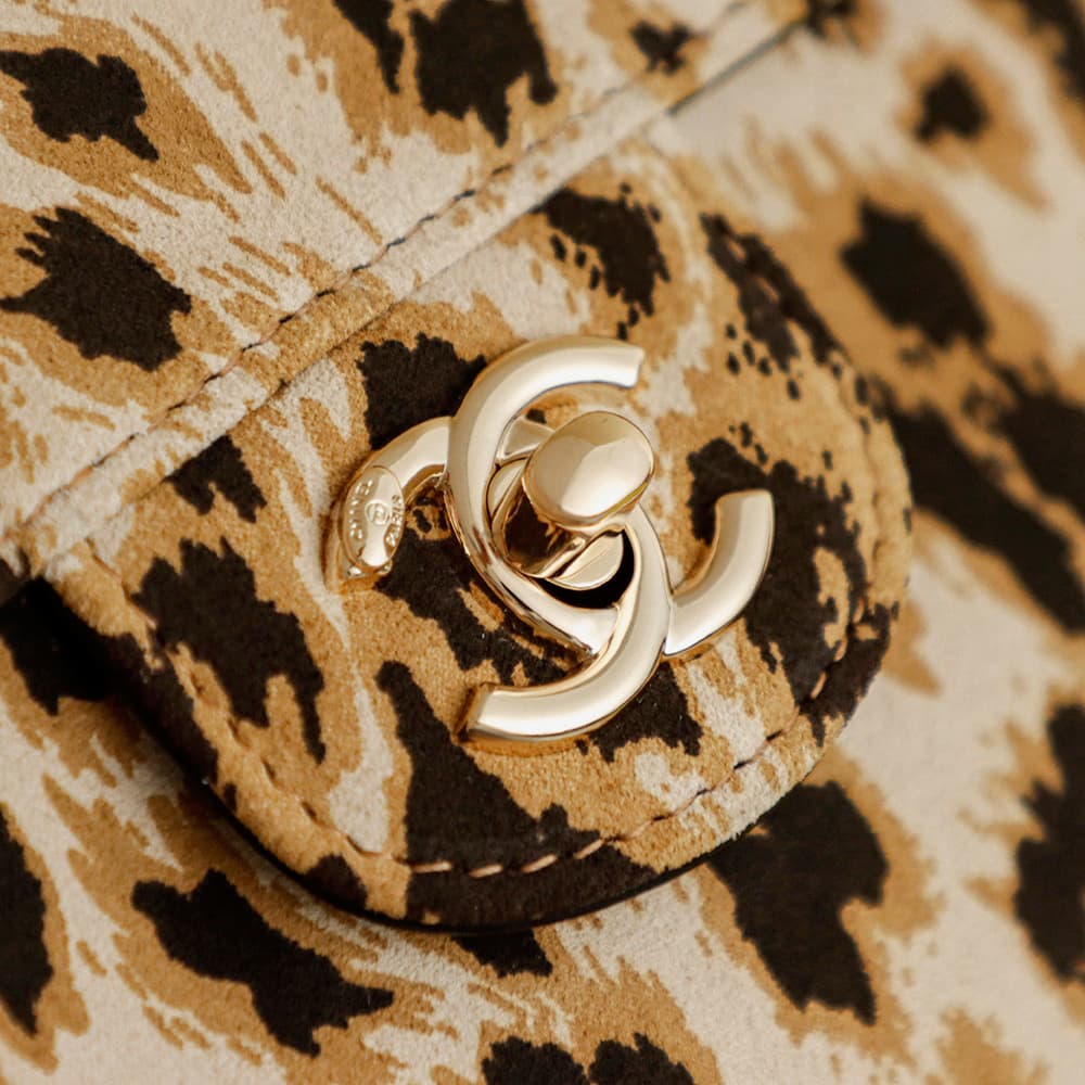 C776 𝐂𝐡𝐚𝐧𝐞𝟐𝟎𝟐𝟔𝟏 spring/summer show collection — image 8