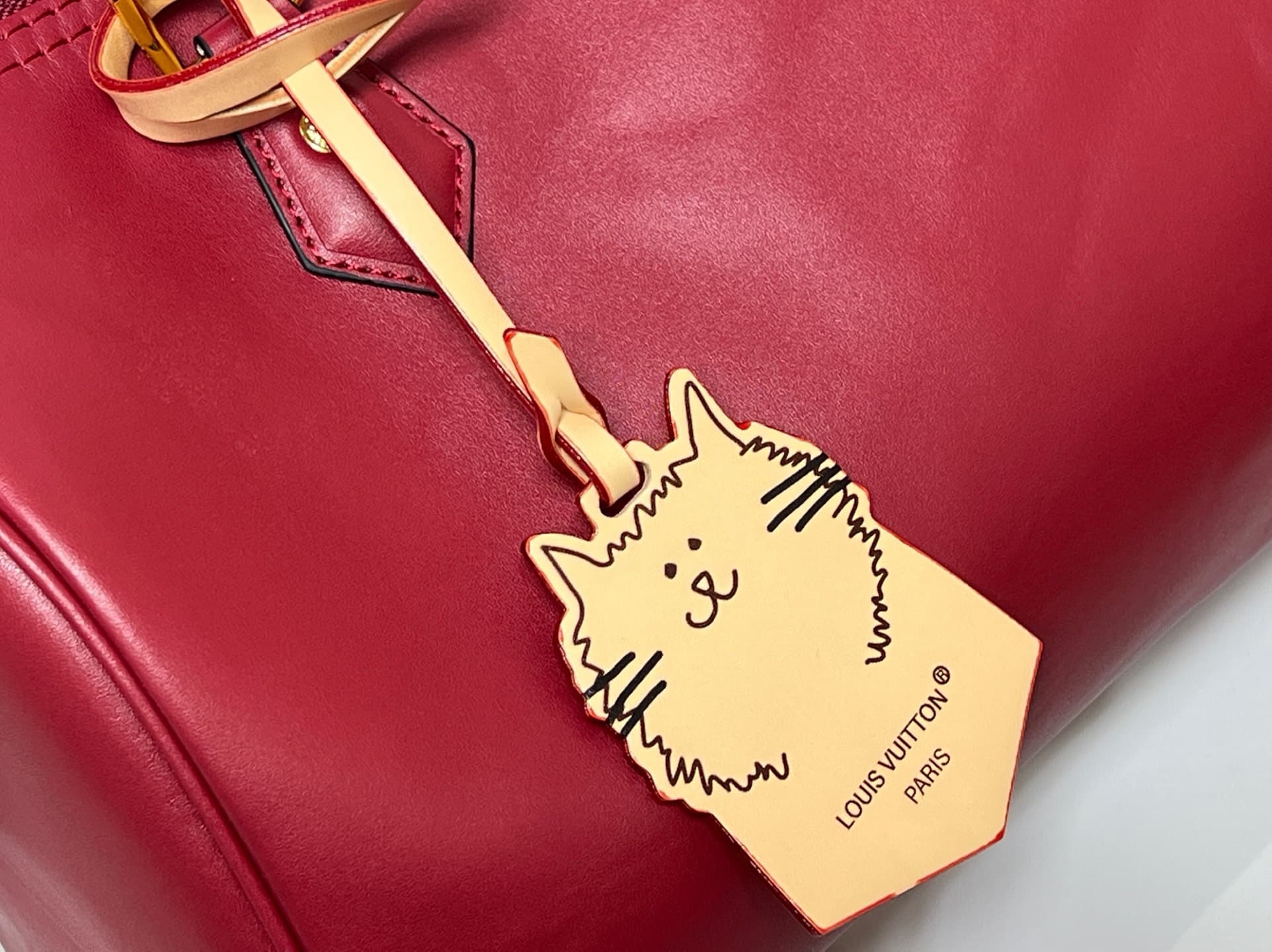 C5340 💰M25766 M13344 Wine-red cat. This Speedy Soft 30 model comes from LV Travels With Grace Coddlington. — image 6