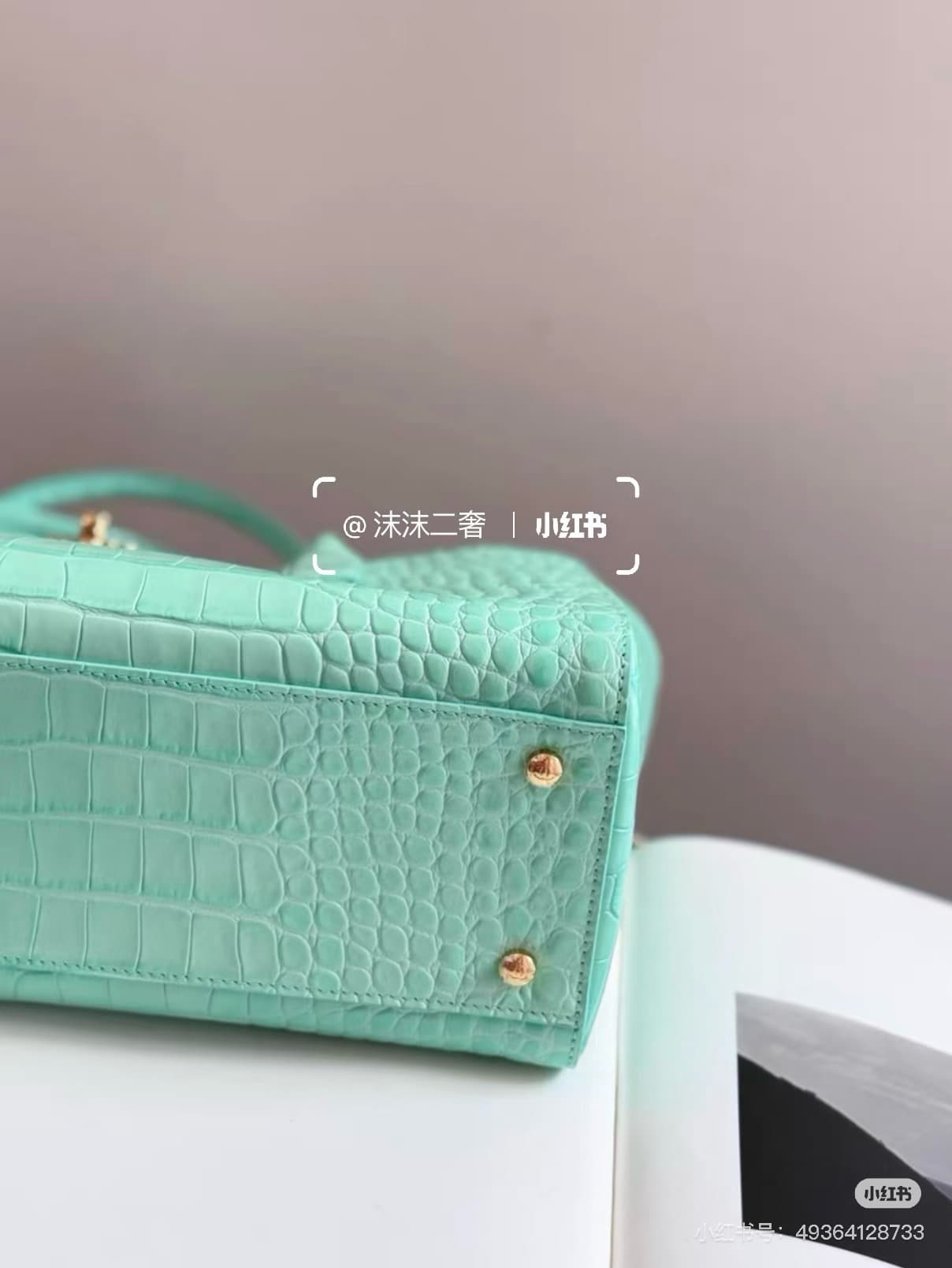 C3198 .6977 Crocodile style: Mint green — image 5