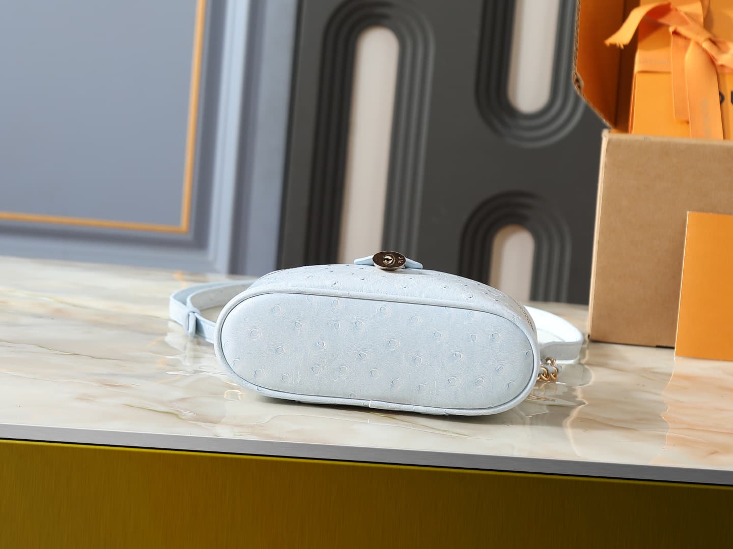 C5154 💰 Upgrade the original N85911, N85806, N85820, M47125 models. The “Ostrich Pattern Vanity Chain Pouch” is inspired by traditional makeup boxes, reflecting the spirit of travel. This exquisite and thin bag features a handle on top decorated with a go — image 4