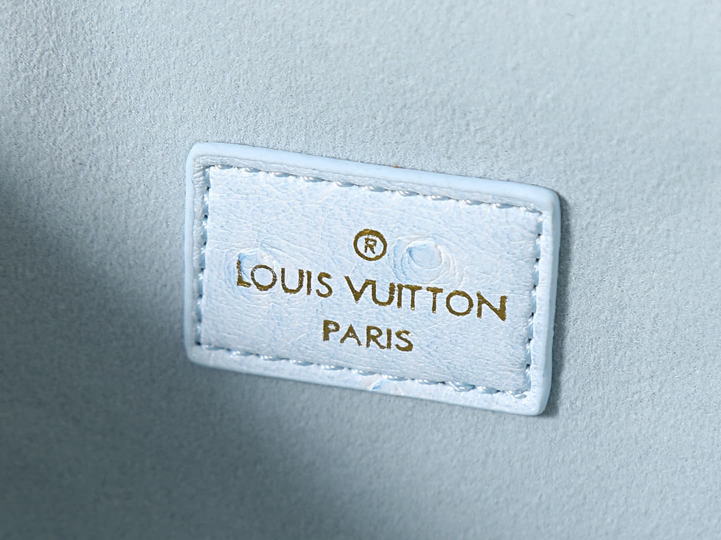 C5154 💰 Upgrade the original N85911, N85806, N85820, M47125 models. The “Ostrich Pattern Vanity Chain Pouch” is inspired by traditional makeup boxes, reflecting the spirit of travel. This exquisite and thin bag features a handle on top decorated with a go — image 8