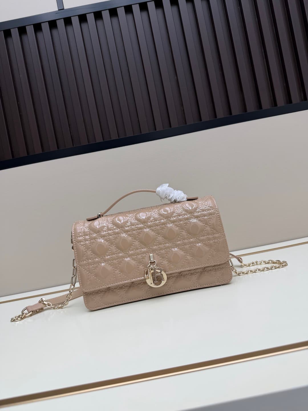C1877 New large-sized💰 with box lacquer leather – summer style🆕 French romance | Dior Lady handbag🌹||| Isn’t everyone aware of the Dior Lady? — image 7