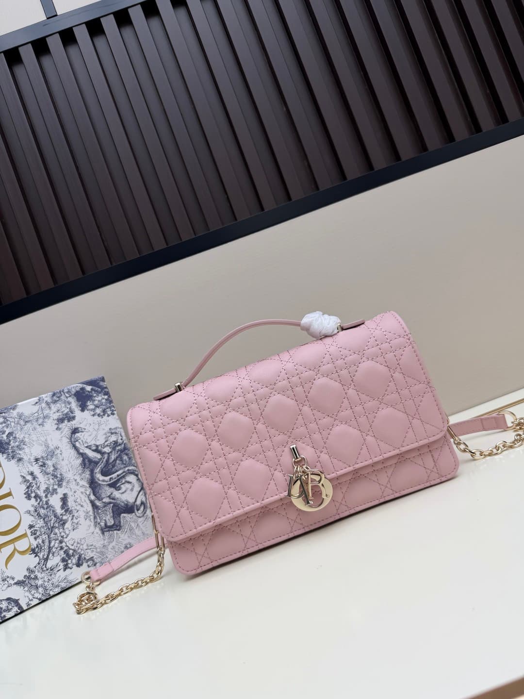 C1864 New large-sized💰 with leather box, summer style🆕 French romance | Dior Lady handbag🌹||| Isn’t everyone aware of the Dior Lady? — image 7