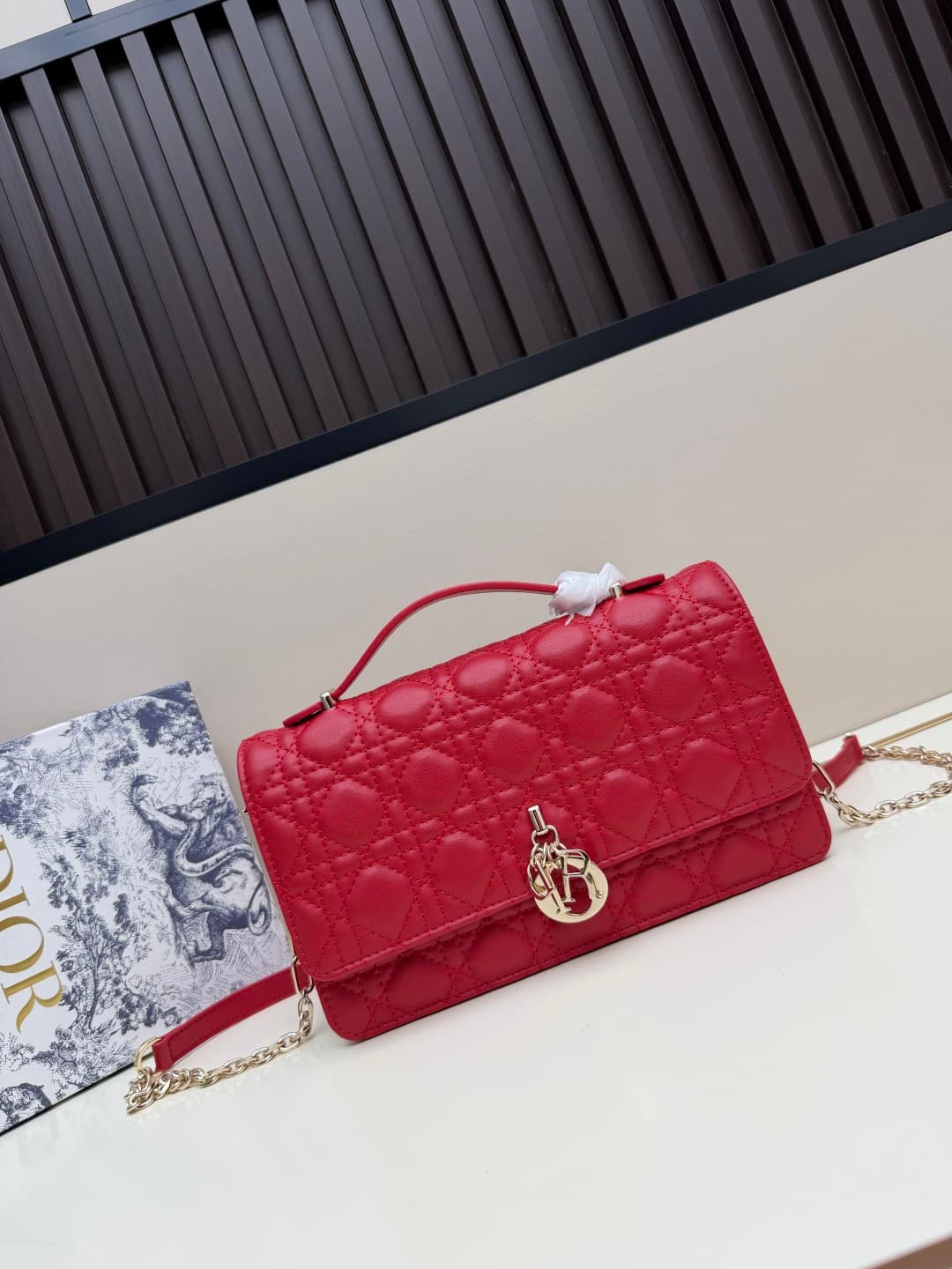 C1864 New large-sized💰 with leather box, summer style🆕 French romance | Dior Lady handbag🌹||| Isn’t everyone aware of the Dior Lady? — image 6