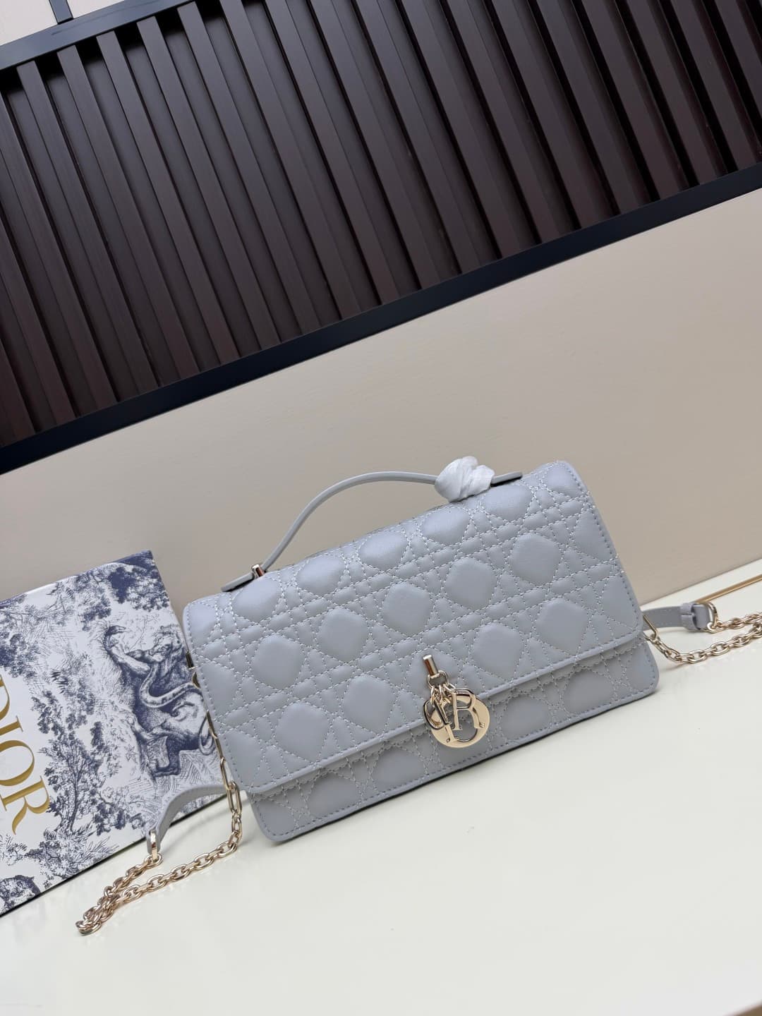 C1864 New large-sized💰 with leather box, summer style🆕 French romance | Dior Lady handbag🌹||| Isn’t everyone aware of the Dior Lady? — image 5