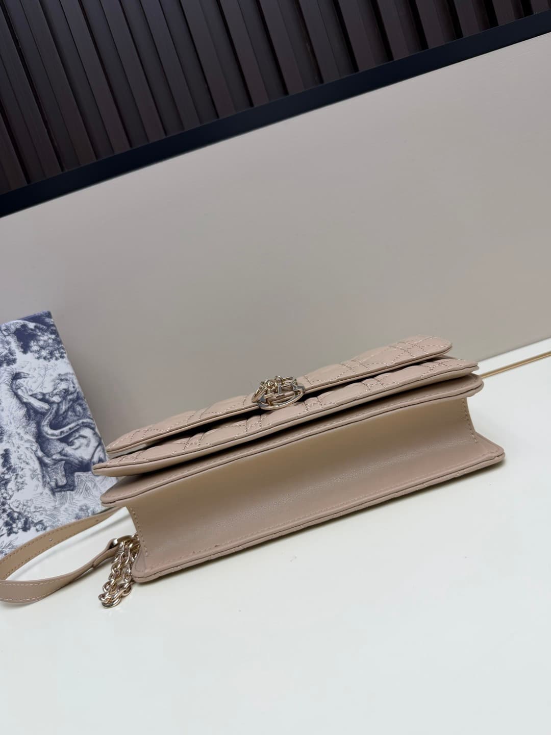C1867 New large-sized💰 with leather box – French romance in summer🆕 | Dior Lady handbag🌹||| Doesn’t anyone know about the Dior Lady? — image 5
