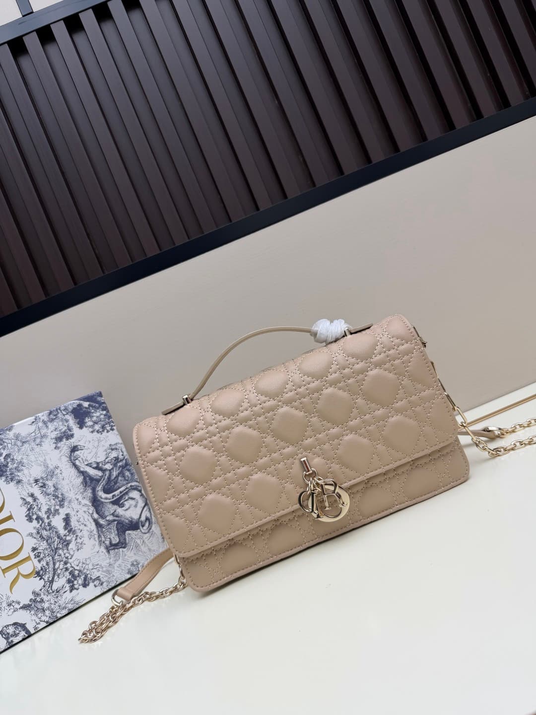 C1864 New large-sized💰 with leather box, summer style🆕 French romance | Dior Lady handbag🌹||| Isn’t everyone aware of the Dior Lady? — image 3