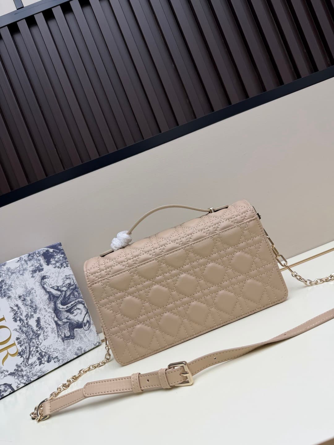 C1867 New large-sized💰 with leather box – French romance in summer🆕 | Dior Lady handbag🌹||| Doesn’t anyone know about the Dior Lady? — image 3