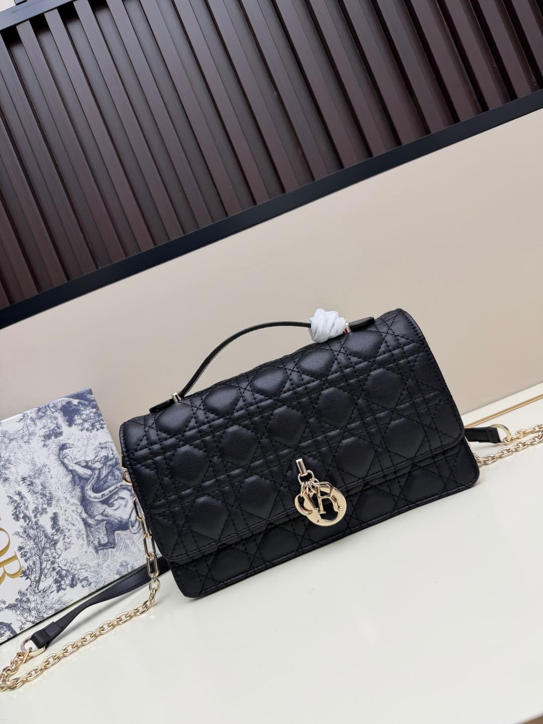 C1864 New large-sized💰 with leather box, summer style🆕 French romance | Dior Lady handbag🌹||| Isn’t everyone aware of the Dior Lady? — image 1