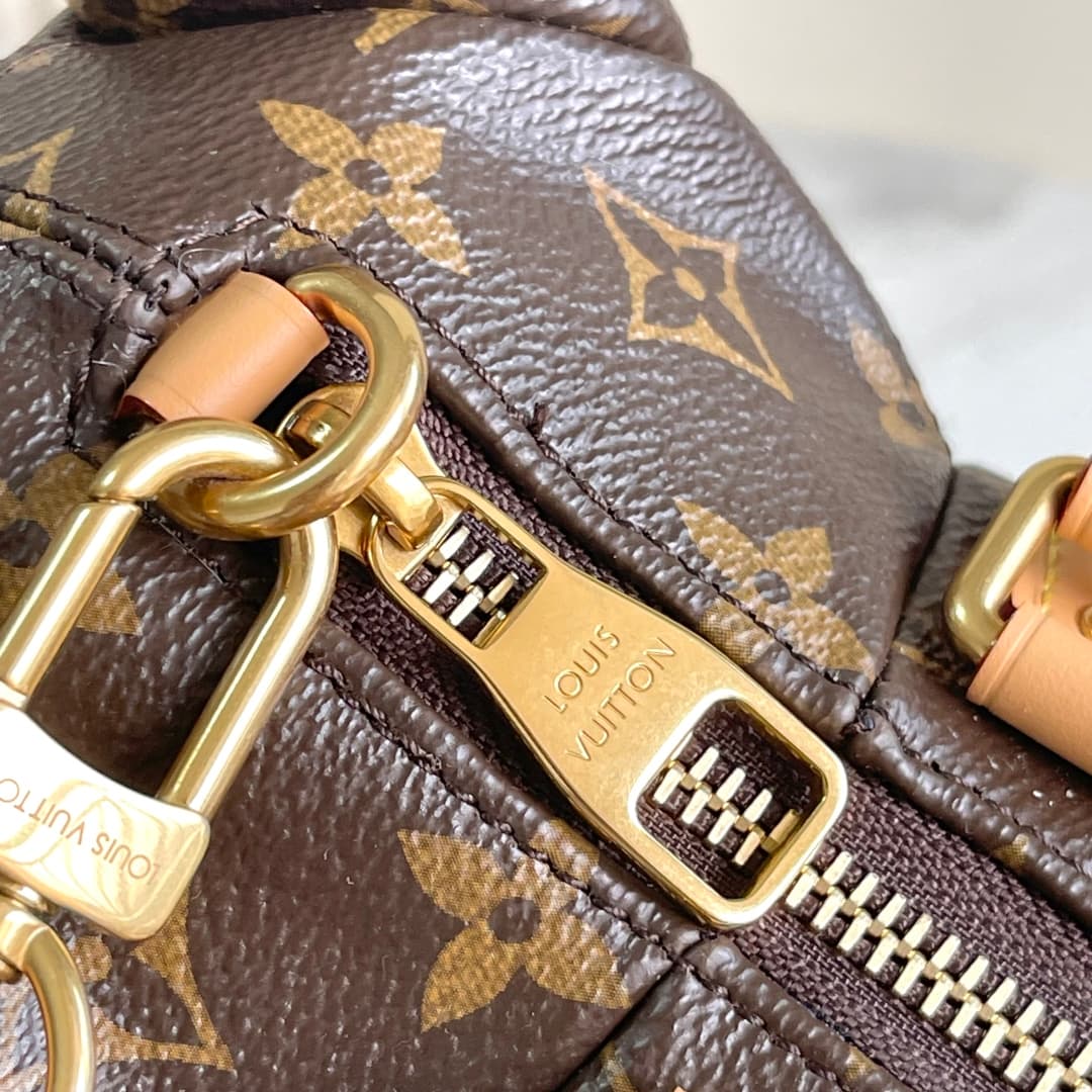 C5254 [163C01 Chip Version] Internal price P. Model number: M12617. Enhanced version of the original model💪【Exclusive real-life background image】 The Pooch Bag handbag features a refined design that incorporates classic Louis Vuitton elements. The Monogra — image 4